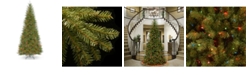 National Tree Company National Tree 9' Dunhill Fir Slim Tree with 800 Multicolor Lights